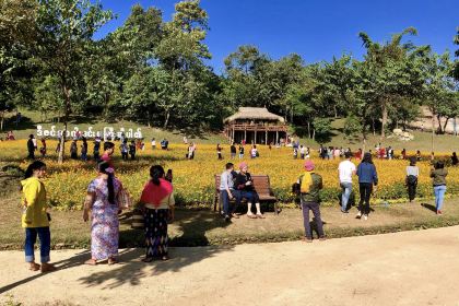 December Garden & Waterfall