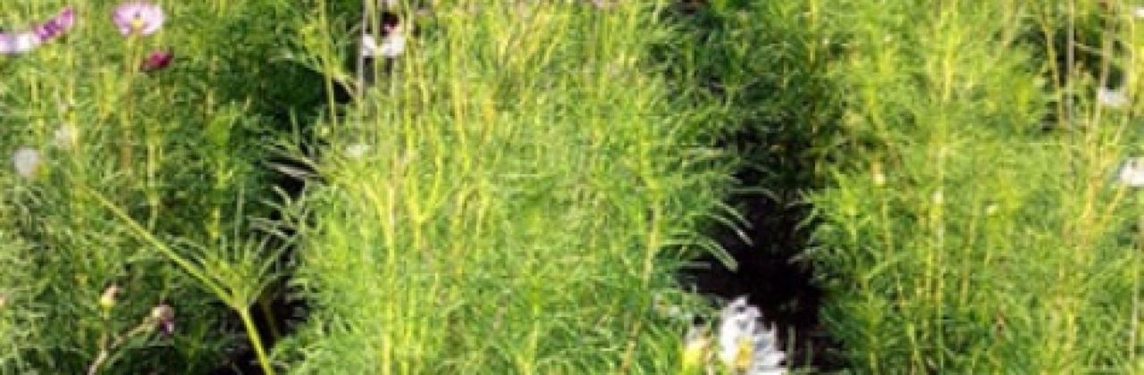 好芙利(解放广场店)