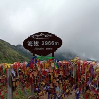 評論圖片 3