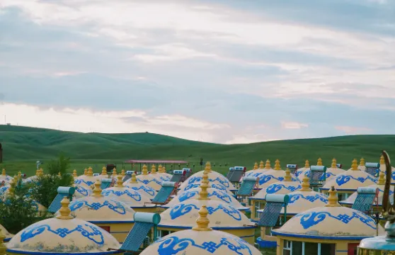 希拉穆仁草原扎日格馬場騎馬+雲上牧場遊玩大小同價