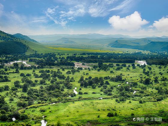 Hulunbuir Grasslands