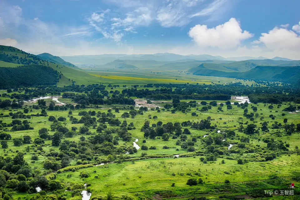 3_Hulunbuir Grasslands