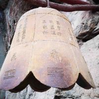 評論圖片 5