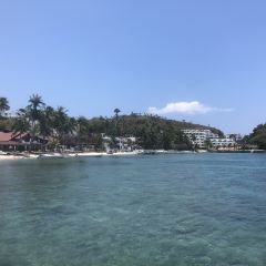 Big Apple Dive Resort張用戶圖片