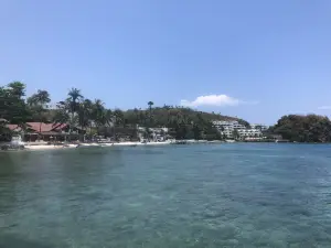 Big Apple Dive Resort