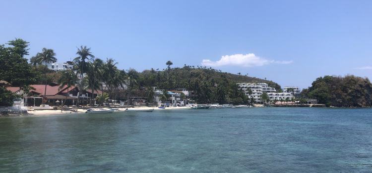 Big Apple Dive Resort