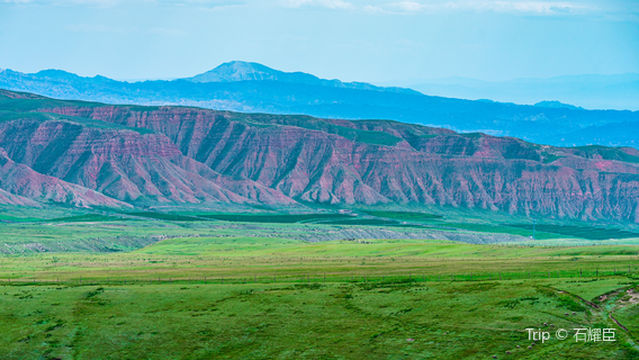 Summer Tala Imperial City Grassland