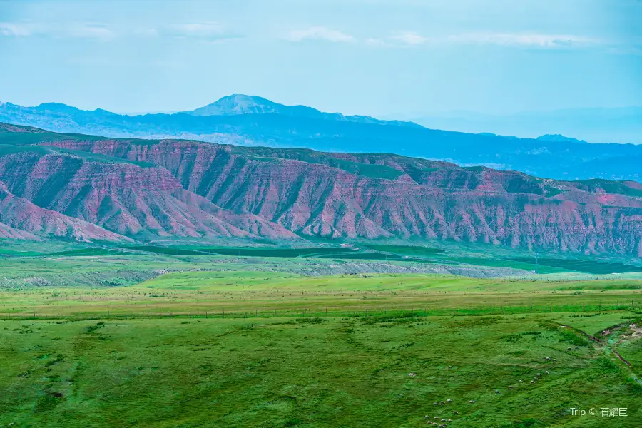 Xiaritala Grasslands