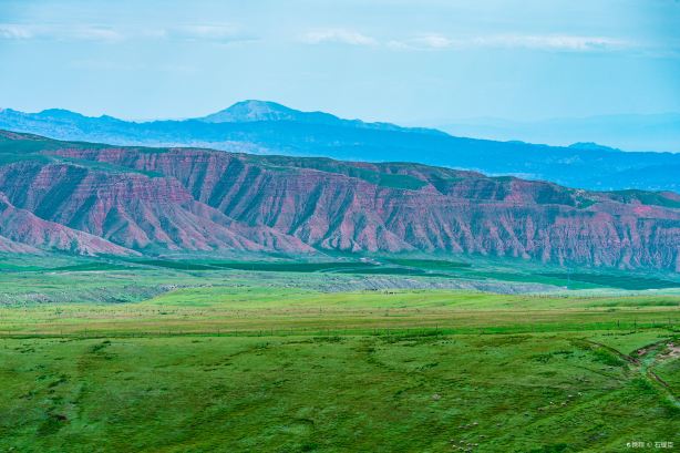 Summer Tala Imperial City Grassland