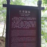 評論圖片 6