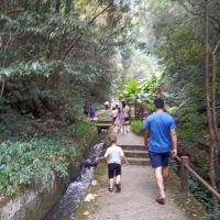 評論圖片 4