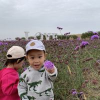 評論圖片 5