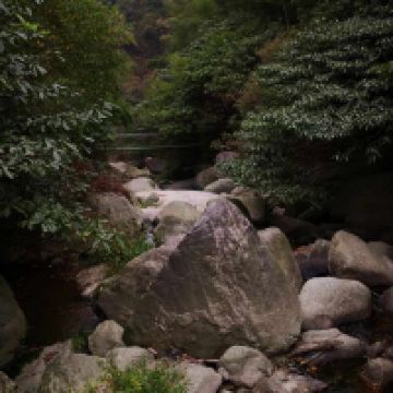 評論圖片 1