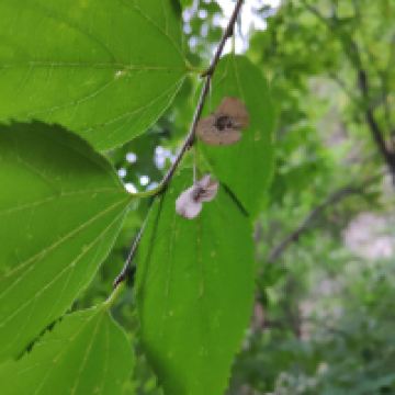 評論圖片 4