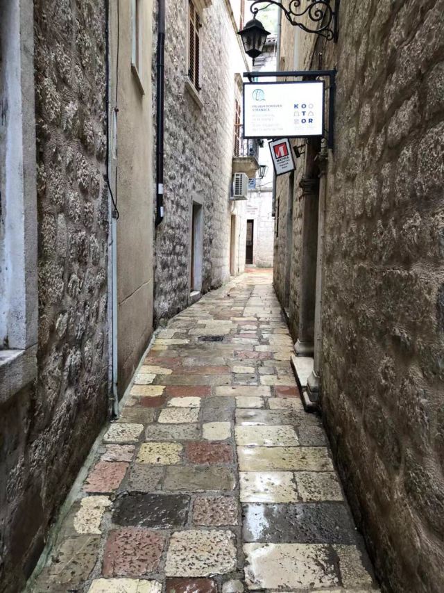 Kotor