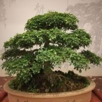 評論圖片 6