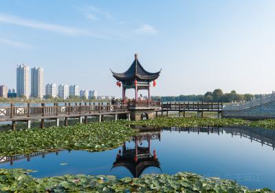 西双湖風景区