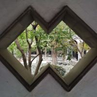評論圖片 4