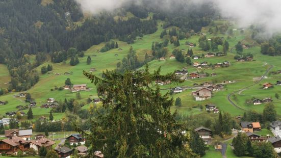 瑞士行程的第四天住在格林德瓦的瑞士麗城優質酒店，景觀房陽台正