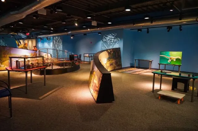 The Best 8 Museums in Boston You Need to Visit