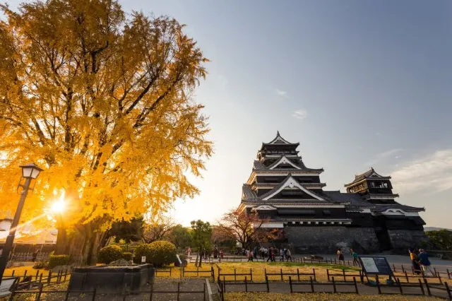 【南九州自由行】南九州必訪景點大公開!讓你第一次自由行就上手