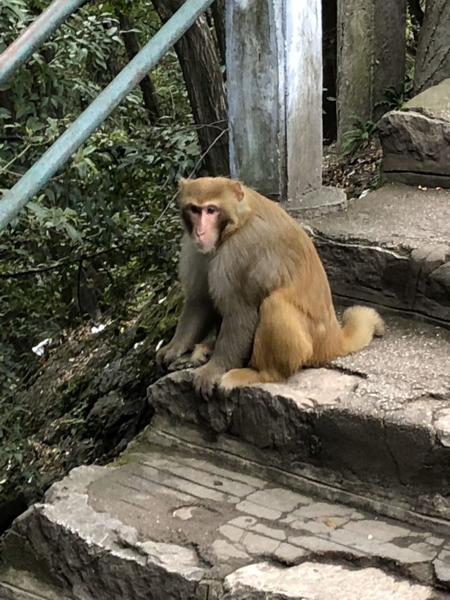 첸링산 공원