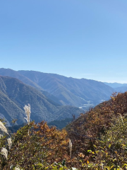 白山白川郷ホワイトロード