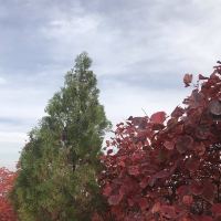 評論圖片 4