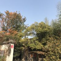 評論圖片 5