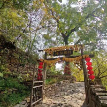 評論圖片 9
