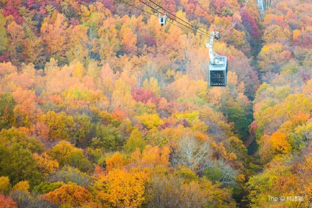 Things to do in Sapporo