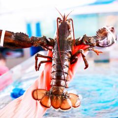 林姐香味海鲜(丁村万人海鲜广场店) User Photo