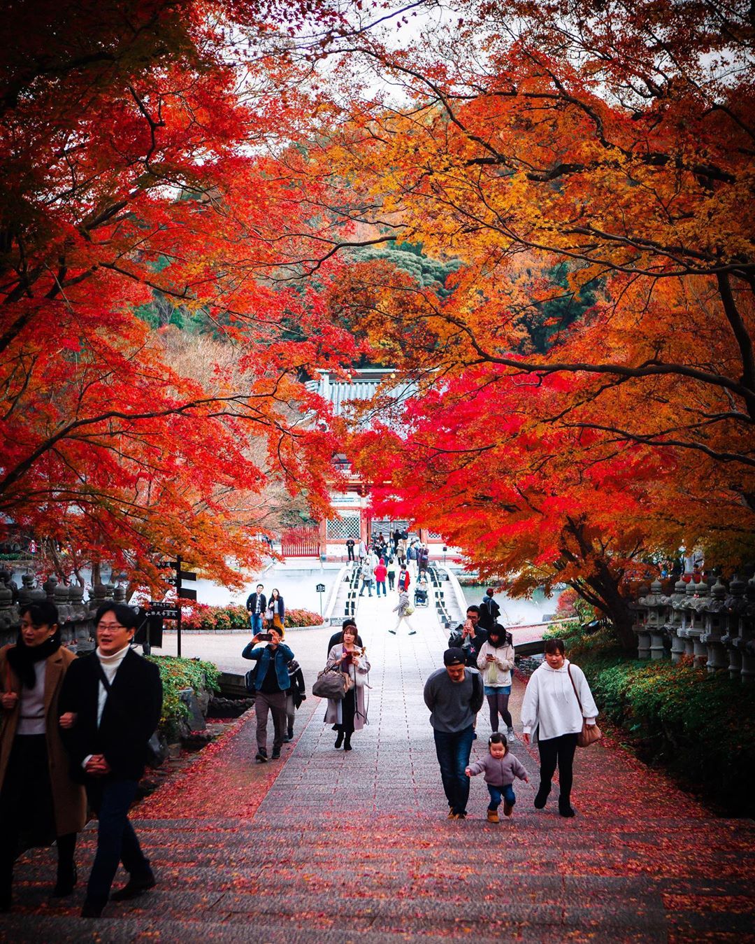 大阪自由行 11月日本賞楓必去 精選10個大阪紅葉景點遊記攻略 Trip Com遊玩攻略 大阪自由行 11月日本賞楓必去 精選10個大阪紅葉景點遊記攻略 Trip Com遊玩攻略