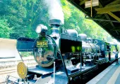 The Ferrari of the Railway: Those Unusual Trains Peculiar to Kyushu