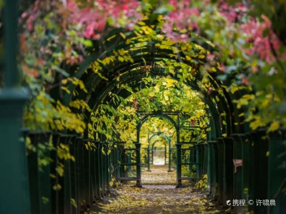 Park And Gardens of Peterhof