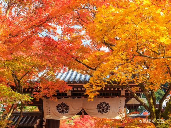 禅林寺 (永観堂)