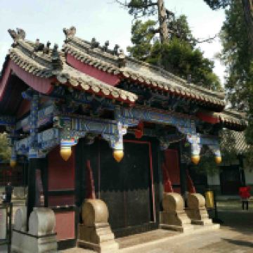 評論圖片 3
