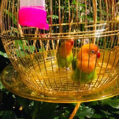 常州富都洲際飯店·龍城咖啡廳自助餐張用戶圖片