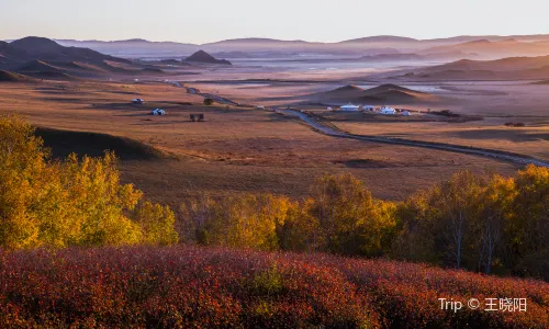 Fengning Bashang Grassland