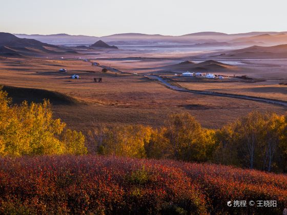 Bashang Grasslands