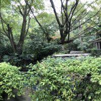 評論圖片 2