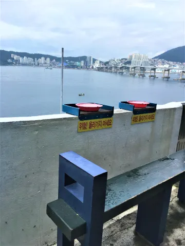 【釜山打卡景點】3個必去 IG 打卡靚景推薦📸📸