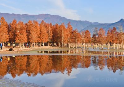 黃山黟縣奇墅湖