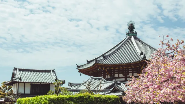 【親子好去處】打卡奈良公園及玩法推介