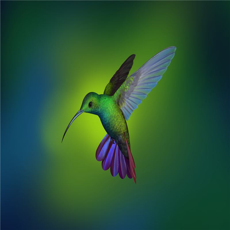 user-avatar
