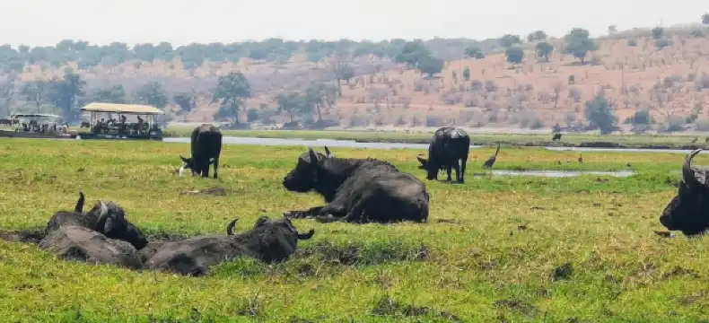 Hotels in Katima Mulilo