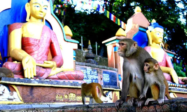 Checking of the Hot Sceneries of Katmandu