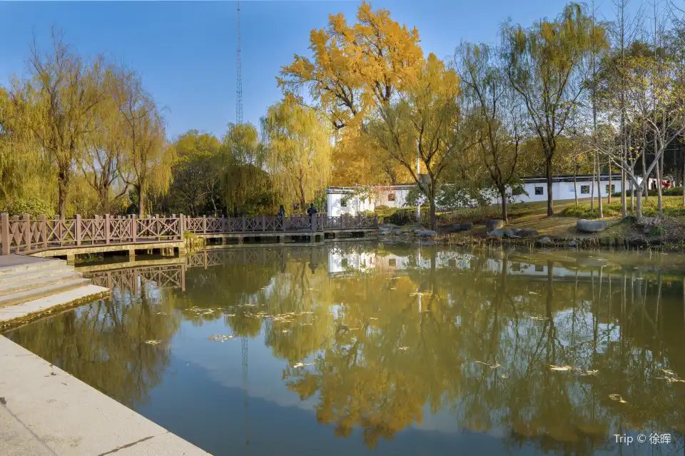 Anting Ancient Tree Park Tickets [2026] - Promos, Prices, Reviews ...