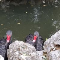 評論圖片 2