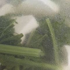 老冬瓜小炒 여행 사진